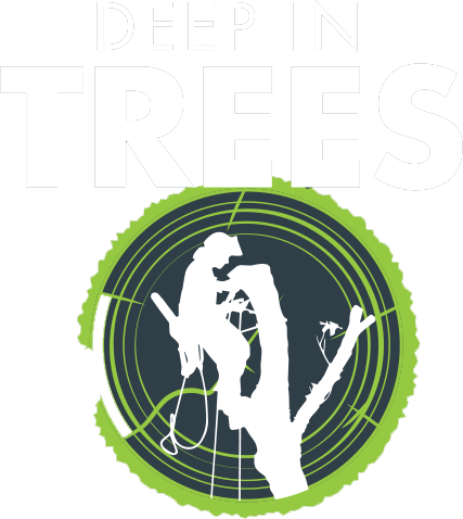 Logo Deep In trees